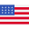 USA Flag Icon