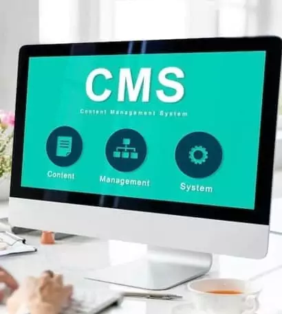 Content Management Systems